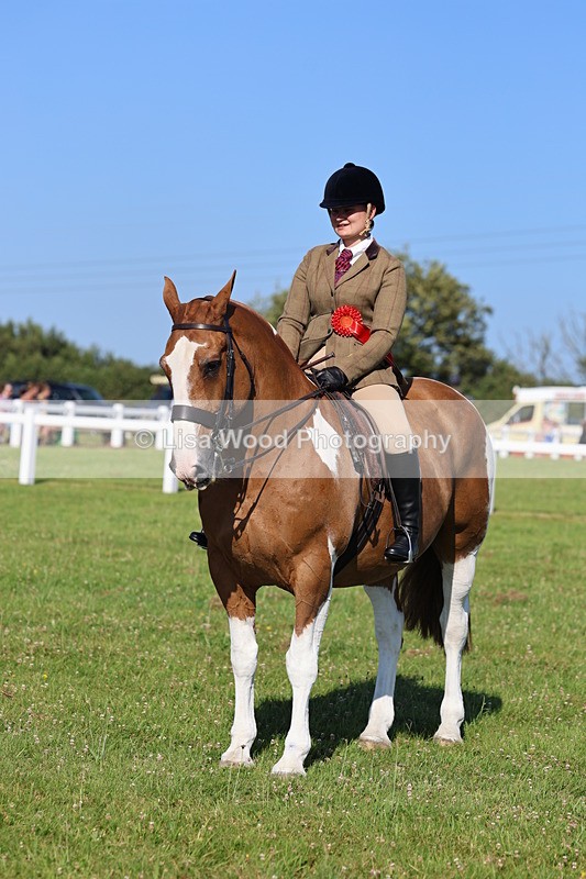 IMG_1455 - Class 29:  Ridden Native/Trad Coloured Horse