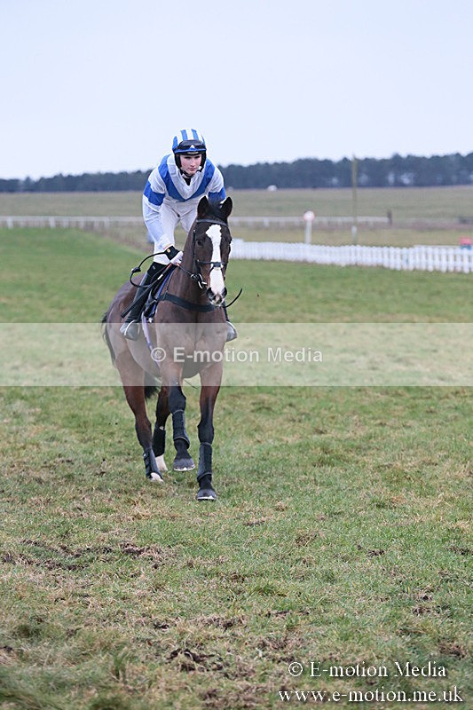 PtP 230119 367 - Royal Artillery Point-to-Point  - Larkhill  - 26/01/19