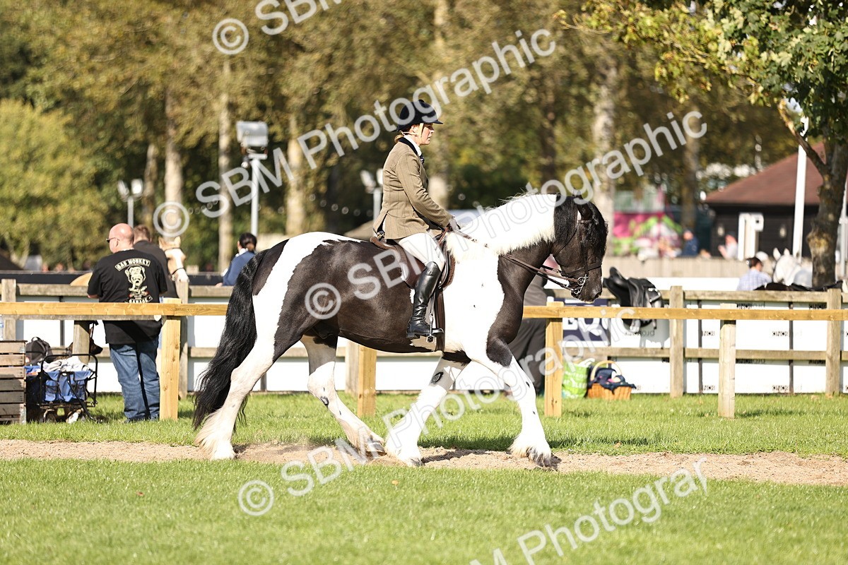 SBM_26337 - S6 - Novice & Newcomers Ridden Horse