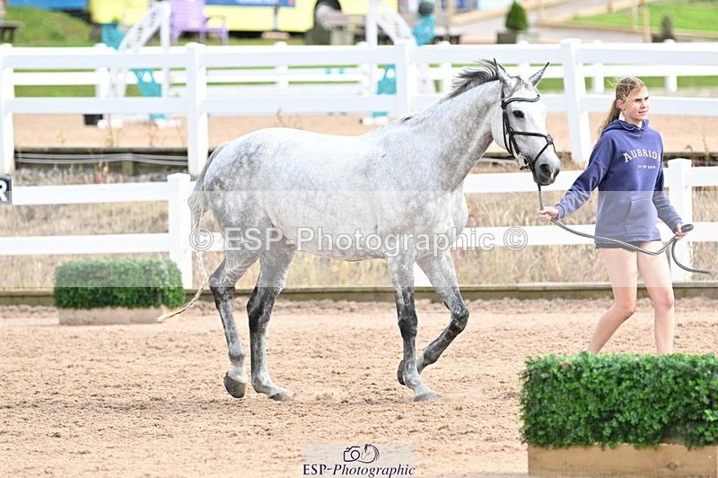 240717A-164558-03529 - Trot Up 4pm to 5pm