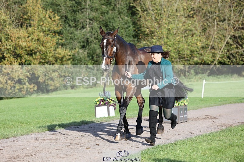 241027-095900-15616 - 354-Nicky.Ralph-ATLANTIC.COAST