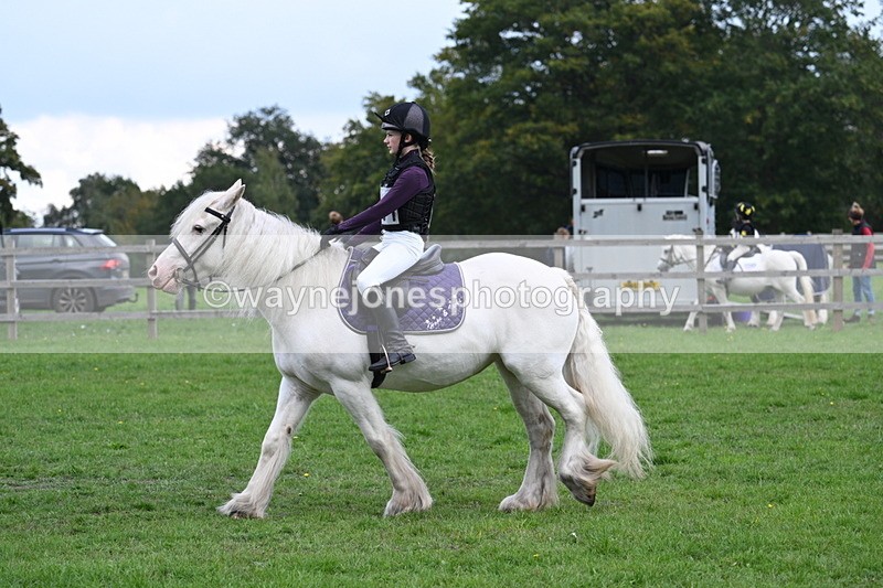 WJ7_4356 - 60cm Time 10:52 to 11:02