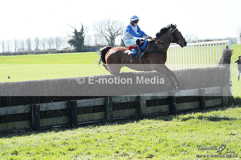 PtP 210326 114 - VWH Cirencester Races 21/03/26