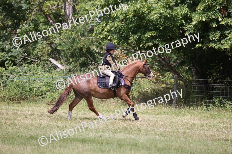 20260614-2176 - Class 21 - Novice Working Hunter Pony