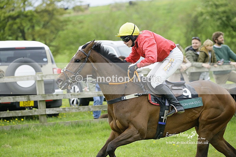 PtP 020522 464 - Mollington Races Point-to-Point 02/05/22