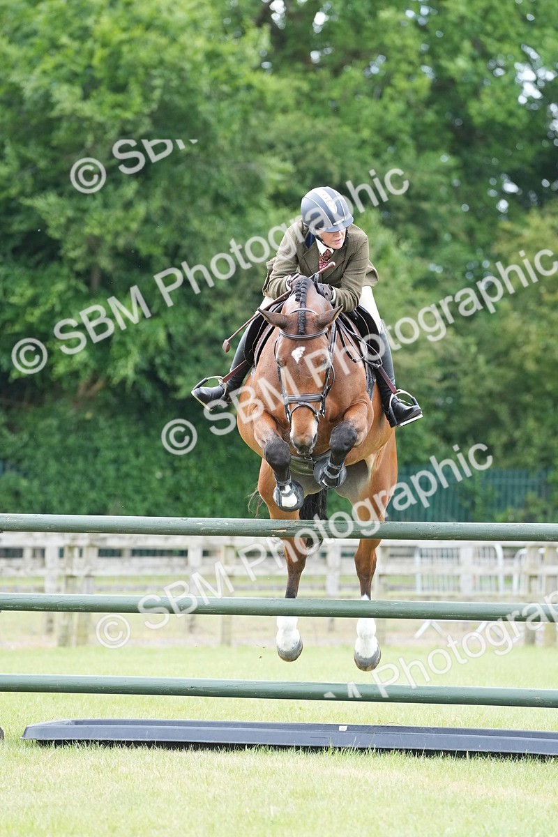 SBM_14974 - Class 100-102 - RIHS Working Hunter
