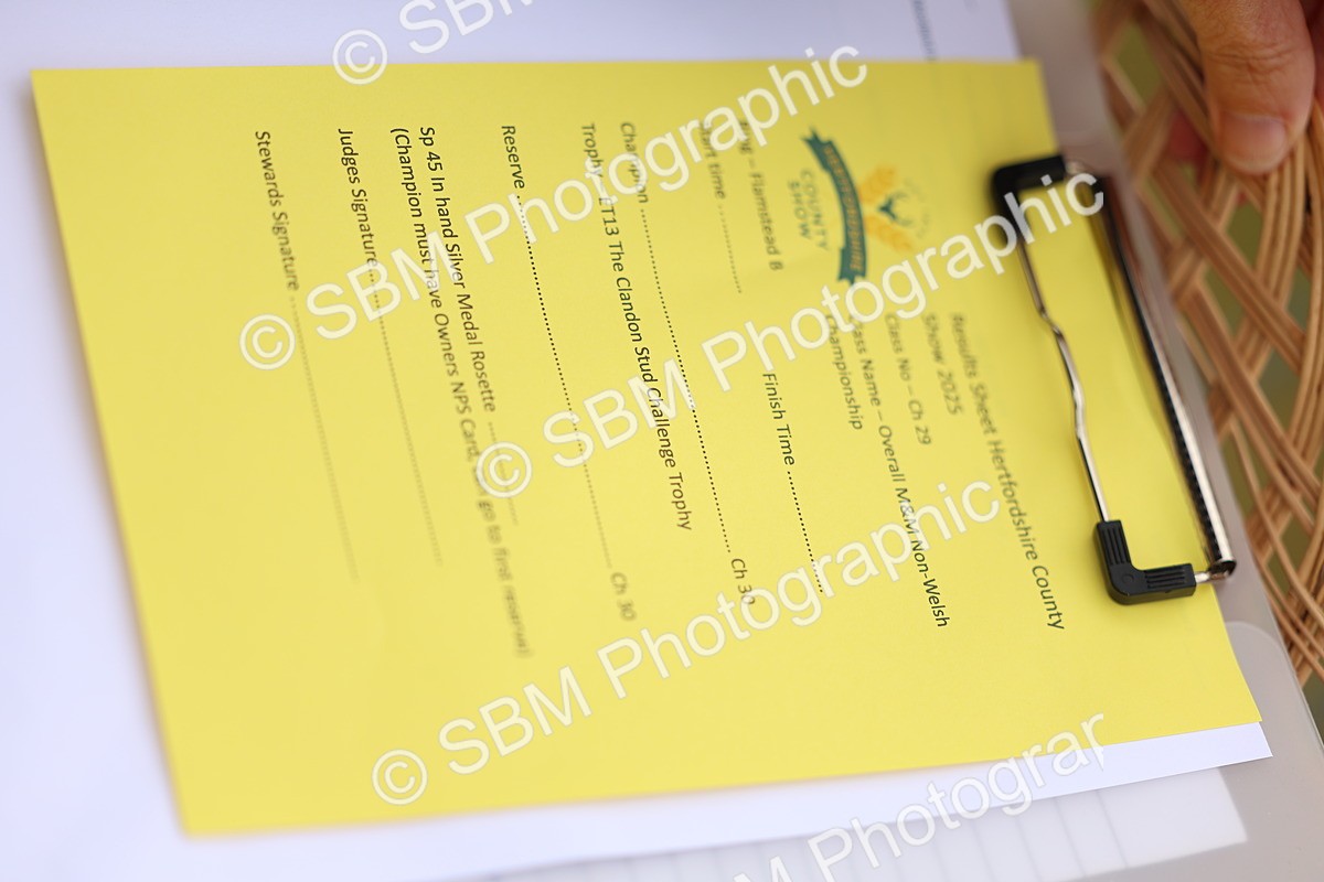 SBM_03547 - Class 58-67 - M&M Non Welsh Pony In hand