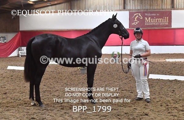 BPP_1799 - MORNING 9AM - 12PM