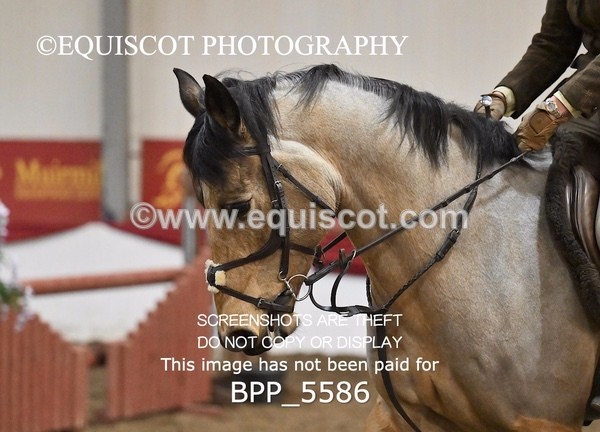 BPP_5586 - CLASS 9 80CM
