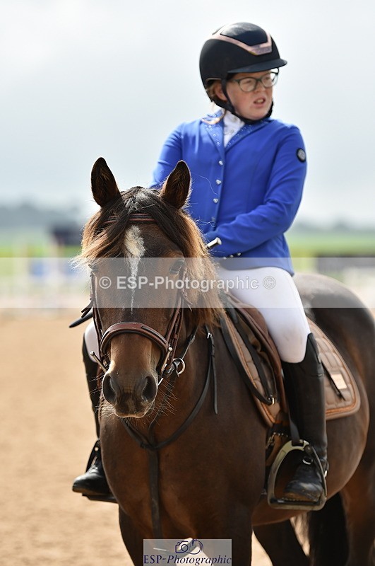 230902A-120212-00897 - Cls 2B Pony Small 80cm