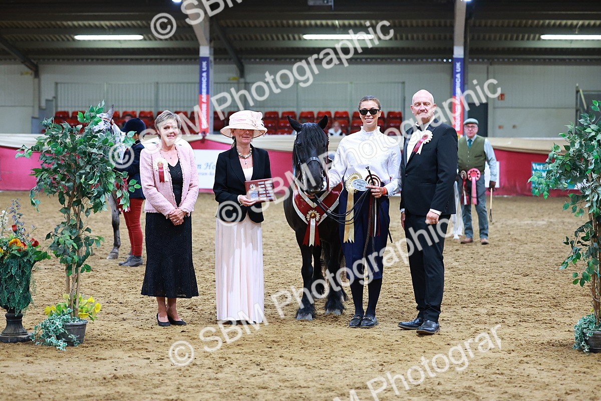 SBM_16300 - Class 901 - Sup Final - IH Diamond