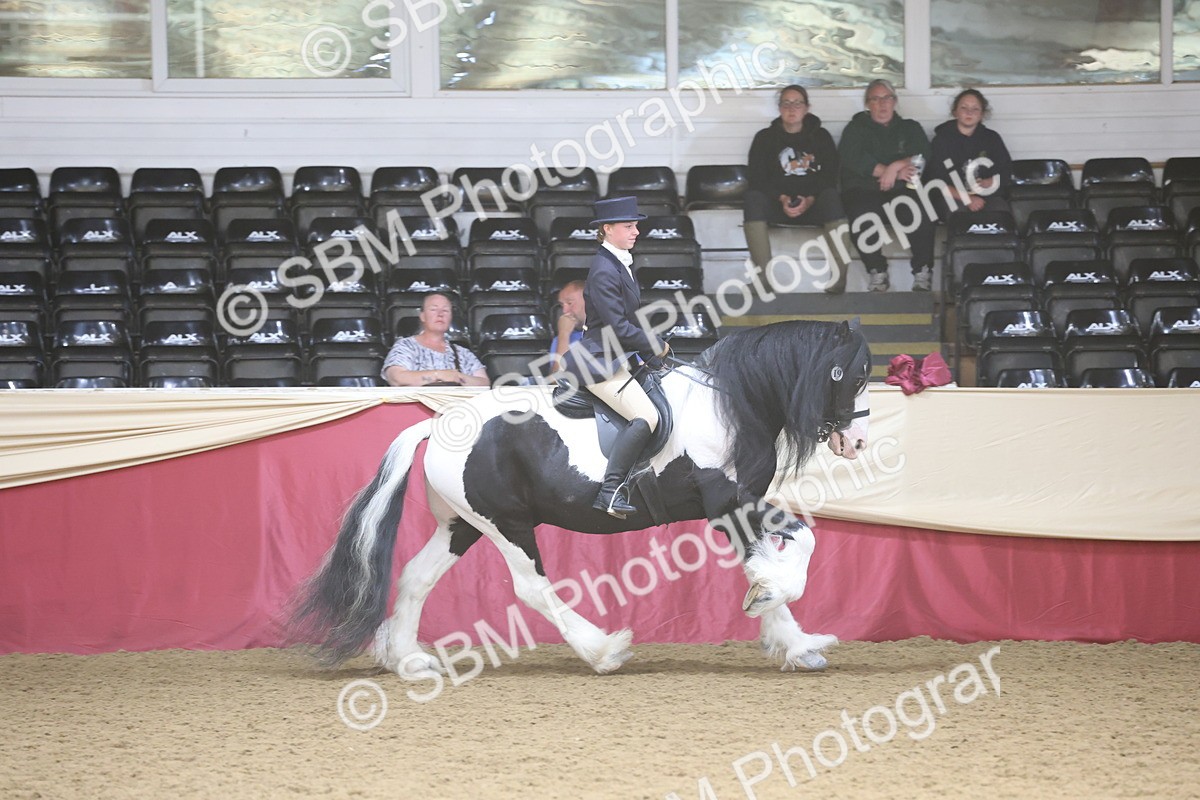 SBM_23788 - class 906 - Supreme Final - Ridden Pre Vet