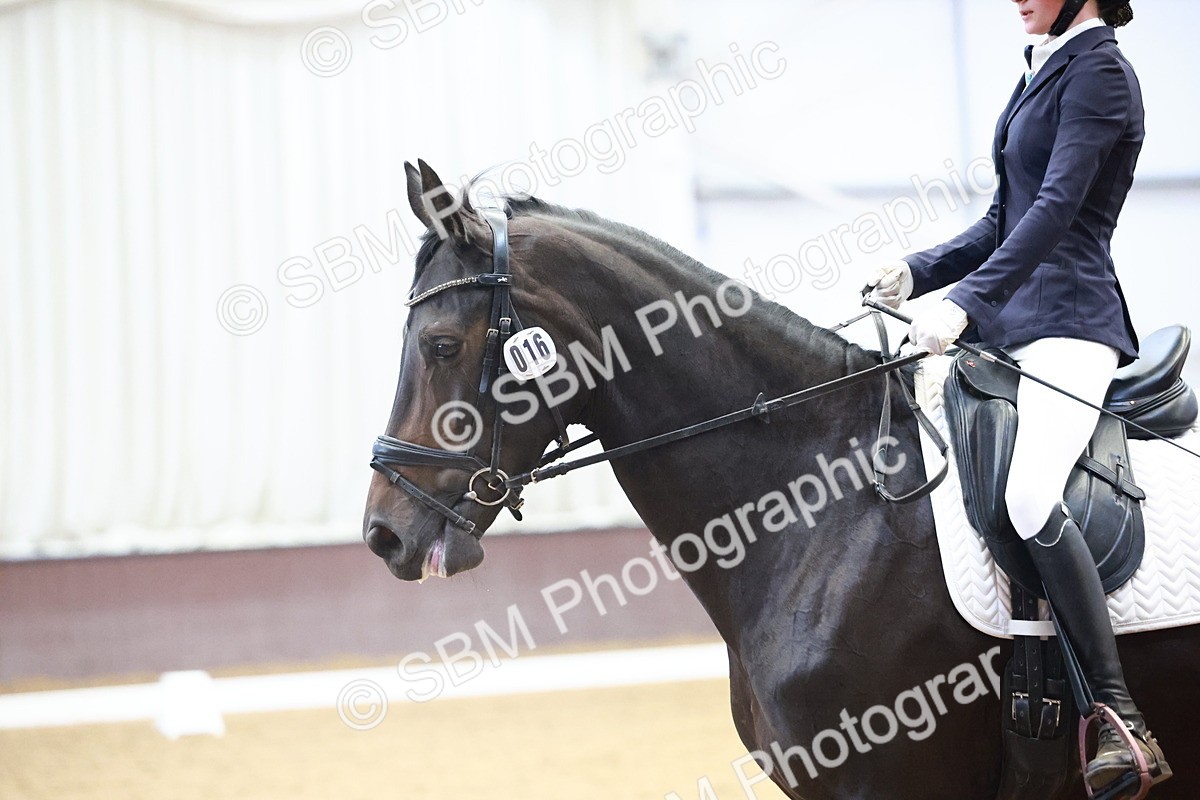 0B8A9175 - Class 6 - Novice 3