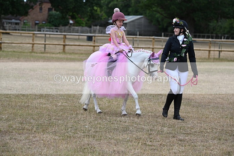 WJ6_8624 - Class 11 Fancy Dress