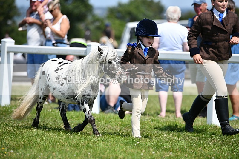 DSC_7970 - Class 66: Child Handler 10 years and under