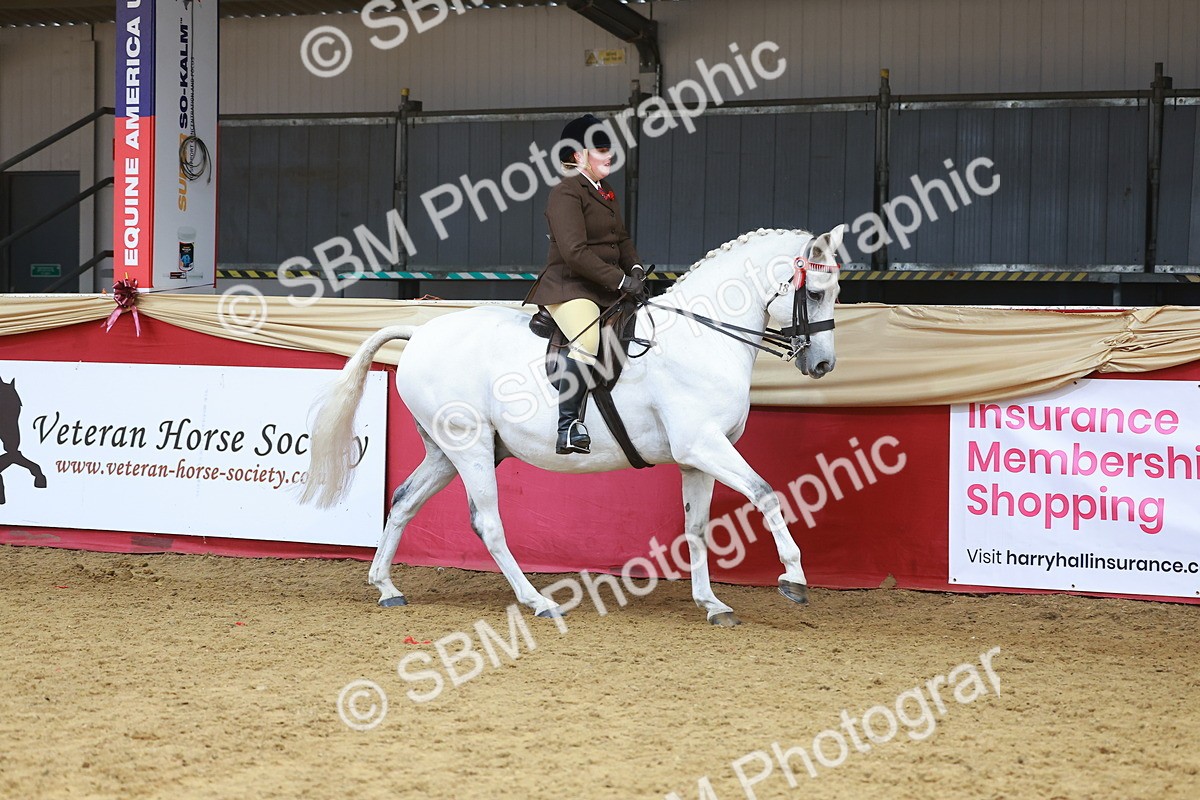 SBM_12441 - Class 103 - HOYS Veteran Qualifier - Ridden Pre Vet