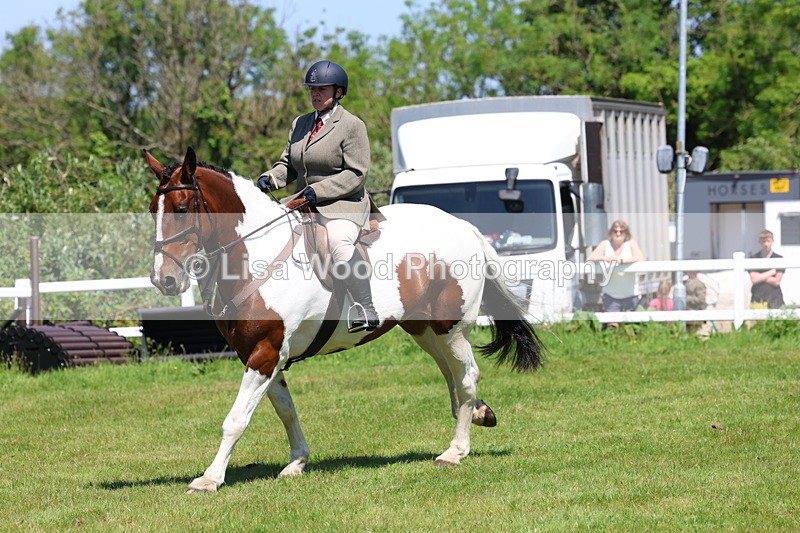 3E7A7233 - Class 30: Novice Working Hunter