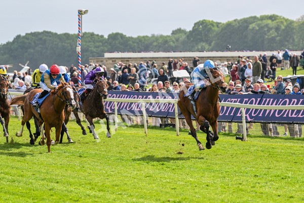 150525-Pride Of Arras-4681 - Race 4 3.45pm Al Basti Equiworld Dubai Dante Stakes