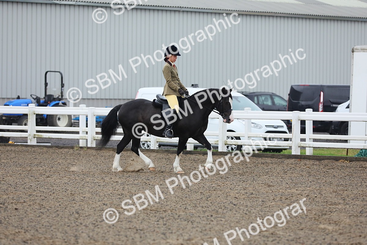 SBM_19945 - Class 801 - Ridden Veteran