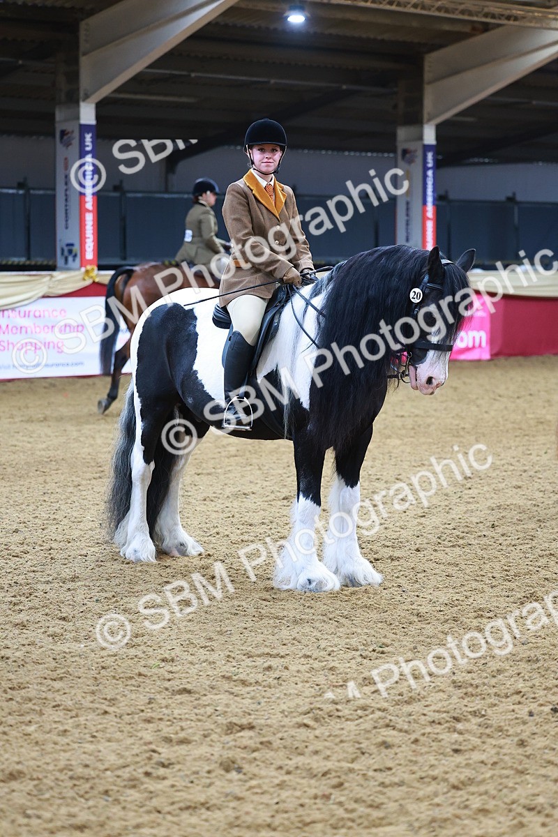 SBM_09826 - Class 102 - HOYS Veteran Qualifier - Ridden Veteran