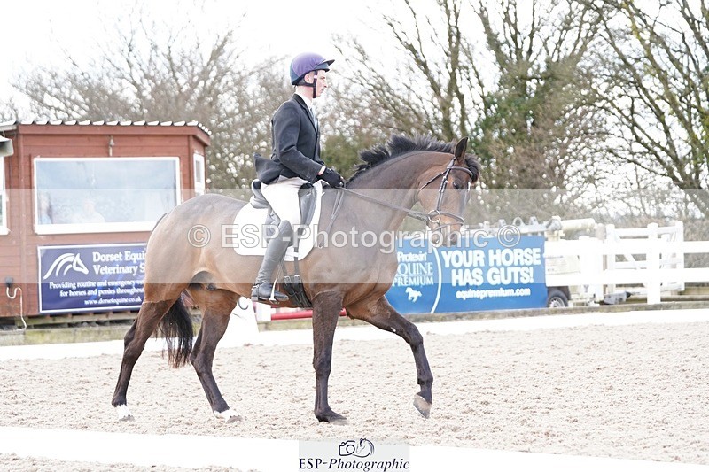 250322-133002-00508 - DR Elementary 2 Test