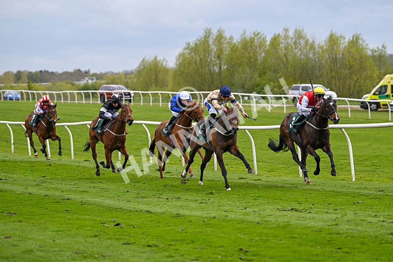 240424-Race 2-Restless Prince-7729 - Race 2