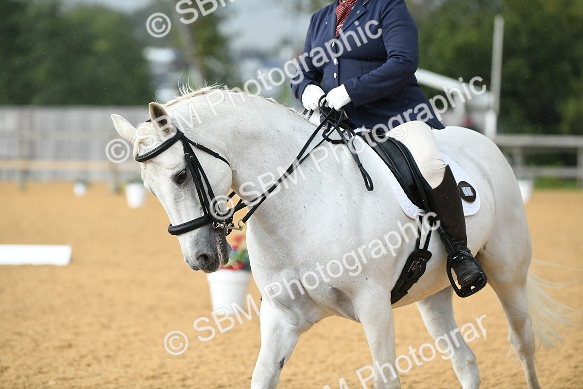 SBM_11123 - D28 Elementary Taster Elementary 42