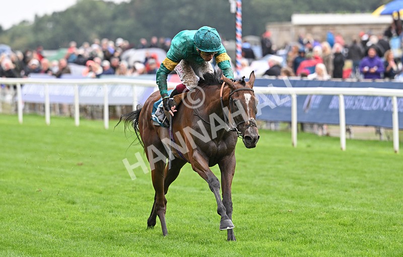 200826-132 Prizeland - Race 5 16.10pm British EBF & Sir Henry Cecil Galtres Stakes