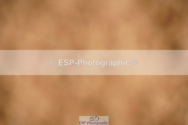 240526A-111628-07779 - Cls 26 Chard Equ 1.05m and 1.10m Grand Prix