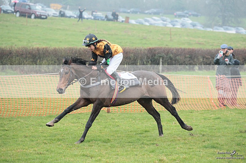 PtP 100324 213 - Pytchley with Woodland Point-to-Point Guilsborough 10/03/24