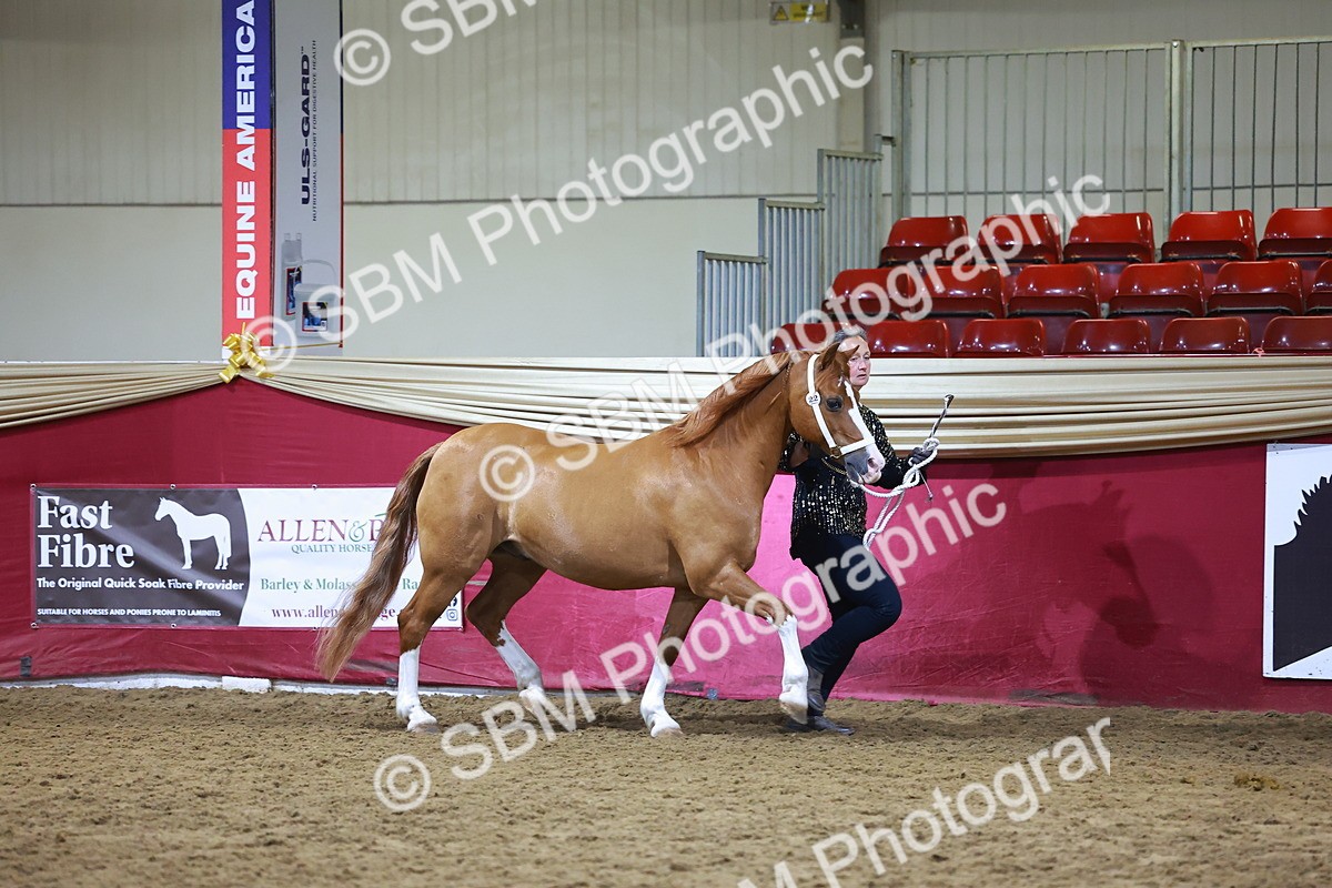 SBM_15500 - Class R - Veteran Champ