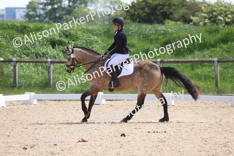 20250520-0768 - Class 4 - Novice 1