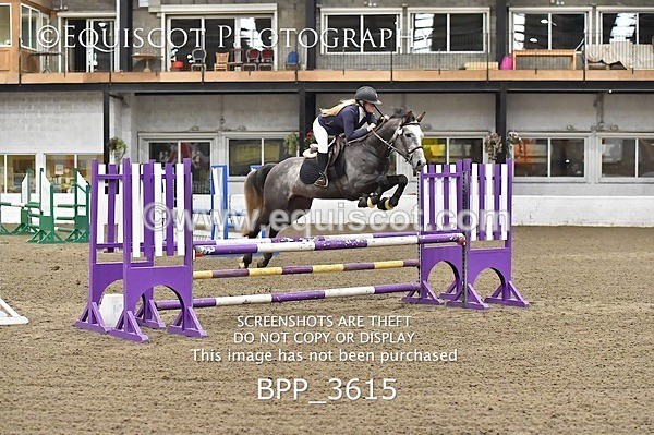 BPP_3615 - FRI CLASS 21 BR NOVICE/90CM