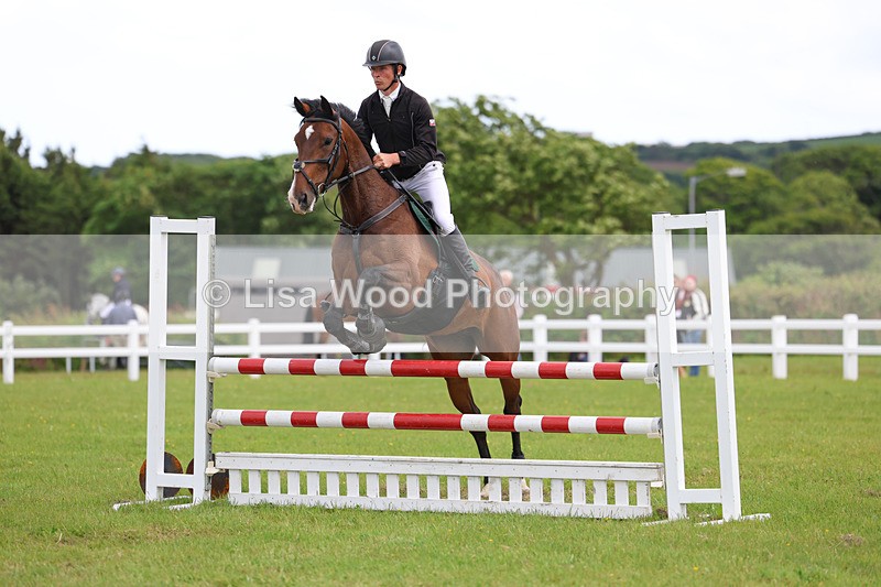 3E7A7777 - Class 13: Senior British Novice/90cm open