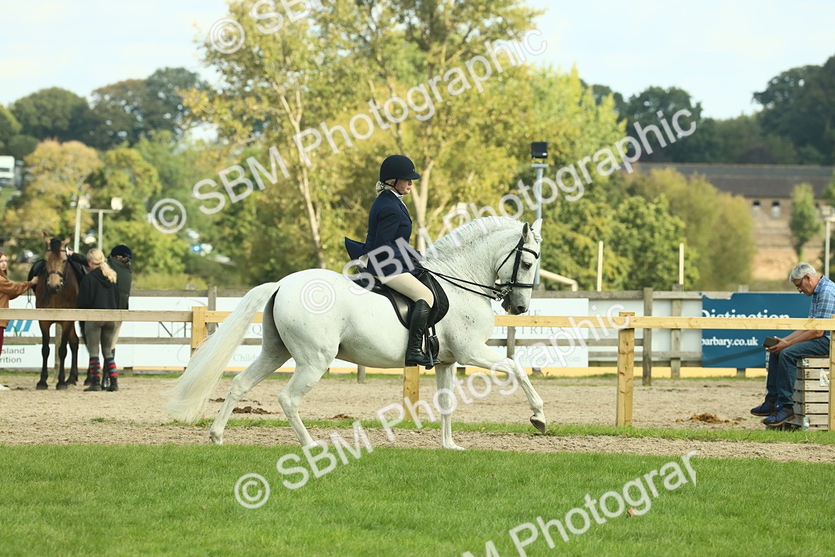 SBM_62439 - S62 - Foreign Breeds Ridden