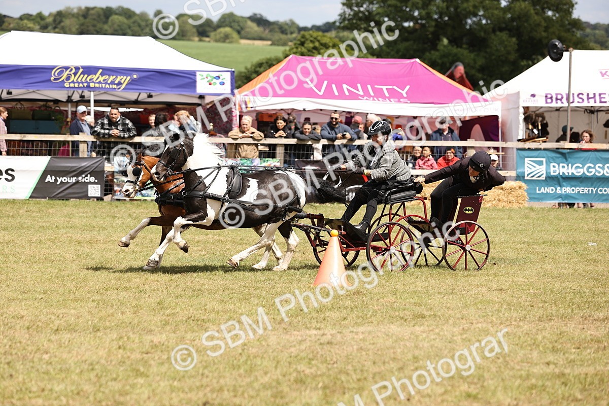 SBM_16037 - Class 91 - Scurry  exceeding 122cms