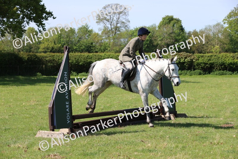 20250427-2426 - Class 19 - Mini Working Hunter