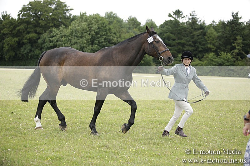 BVR160717-726 - Ring 2 BVRC Show 16/07/17