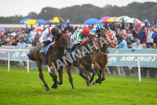 150723-Race 4-Hamish-0427 - Race 4 3.45pm John Smith's Silver Cup Stakes