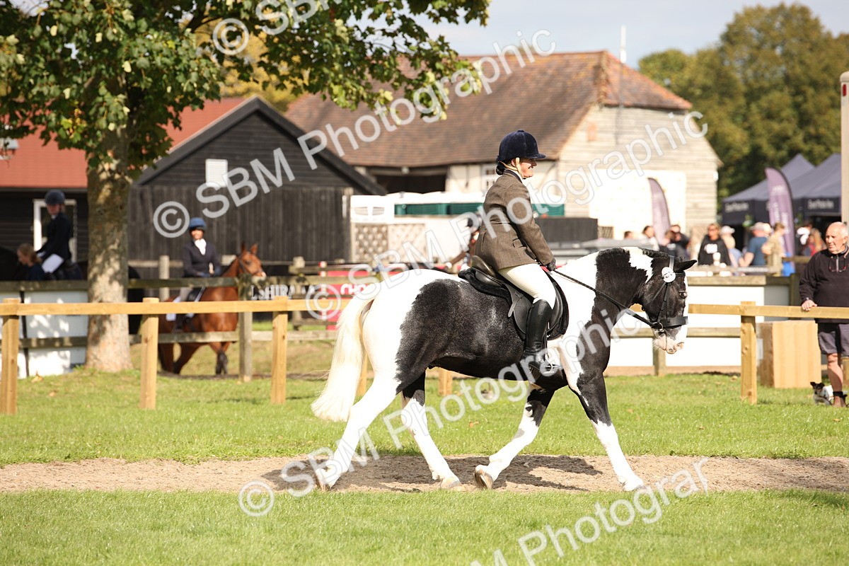 SBM_49963 - S26 - Young Veteran - Ridden