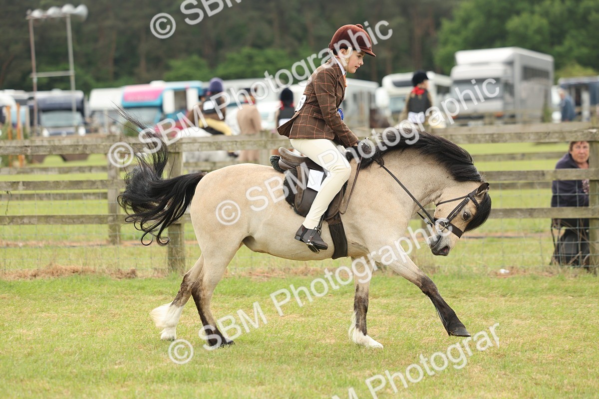 SBM_07151 - Class 76-77 - Ridden M&M Welsh Ponies