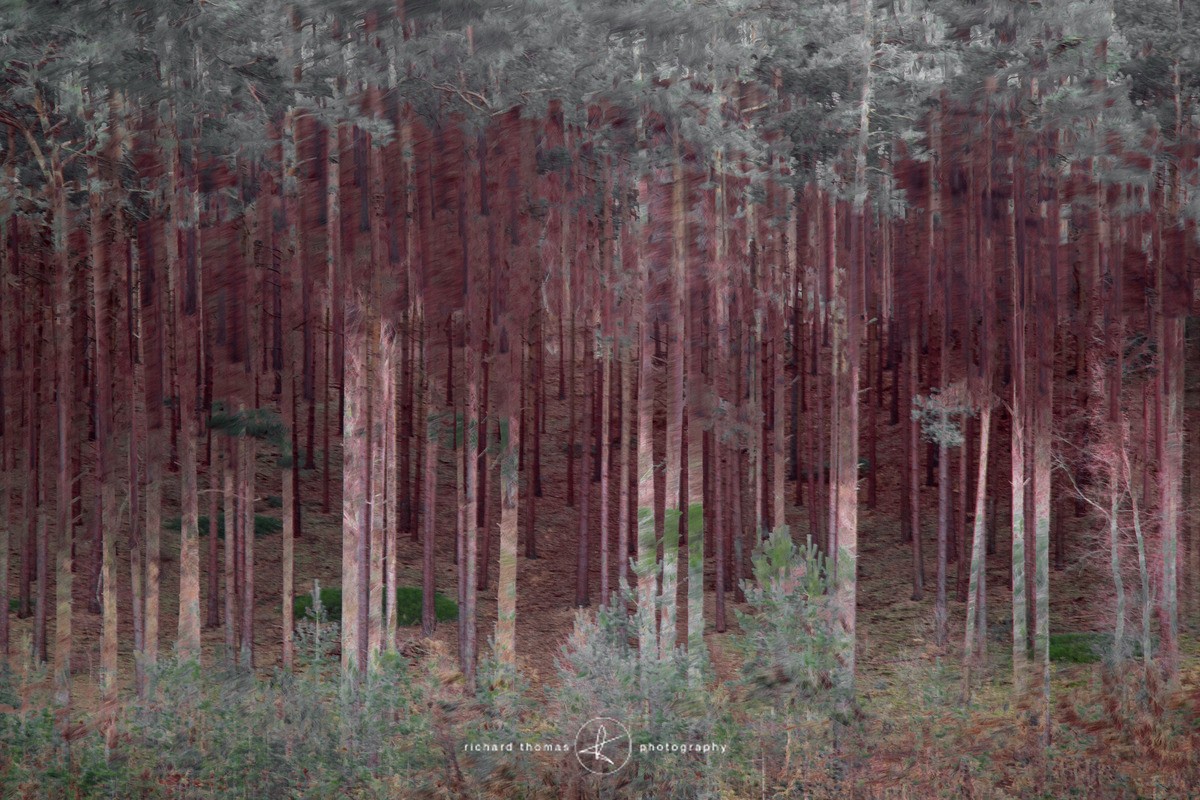 Conquered - ALTERED REALITY