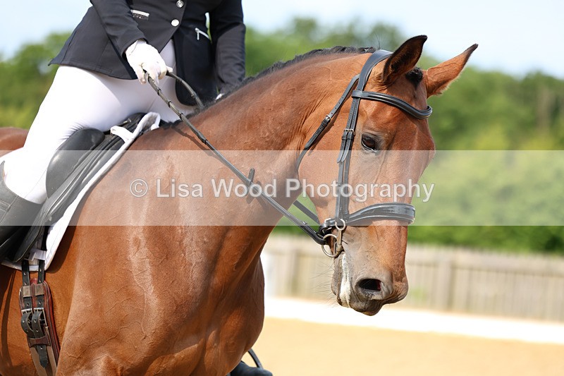 3E7A8773 - Class 1: Intro 1 2024 Section A