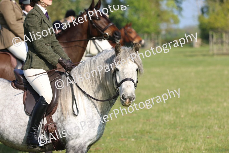 20250427-0537 - Class 17 - Novice Showing
