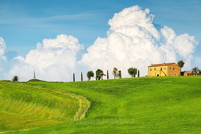  - Italy