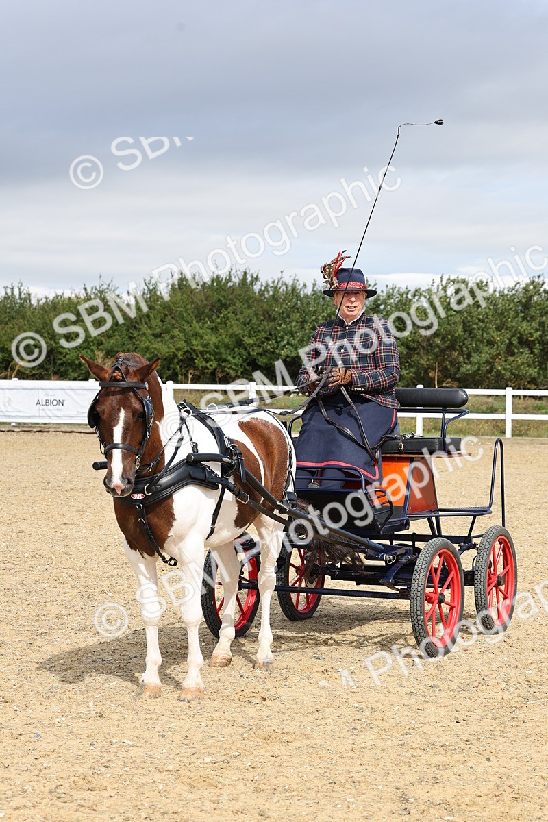 SBM_001028 - Class 10 - Veteran Driver