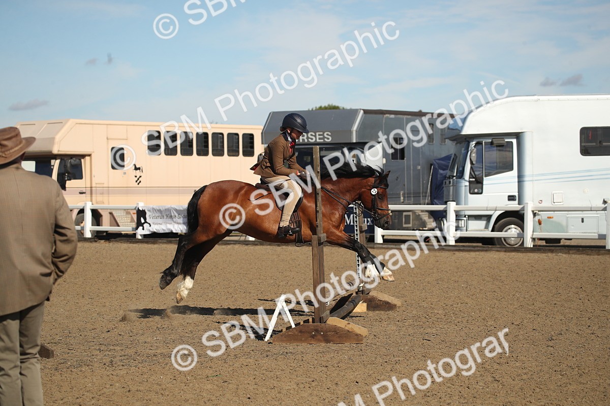 SBM_12729 - Class 504b - Junior Working Veteran - 40cm (20+)