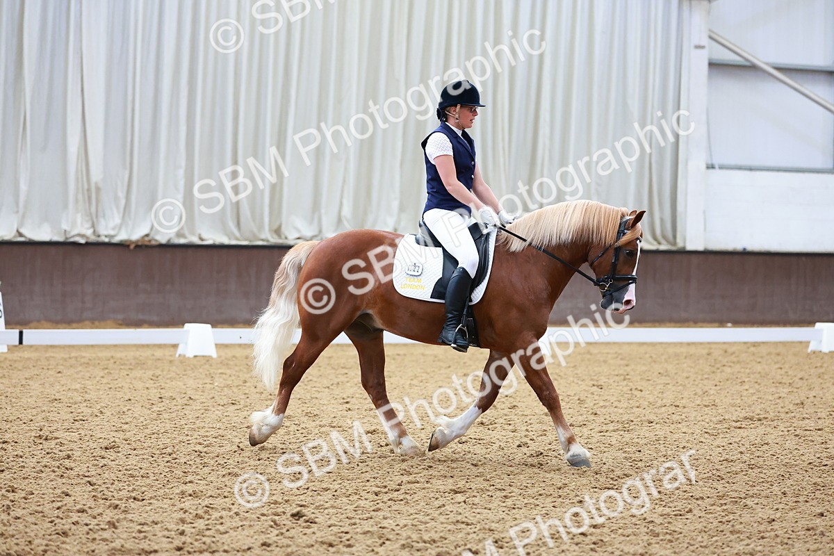 SBM_009008