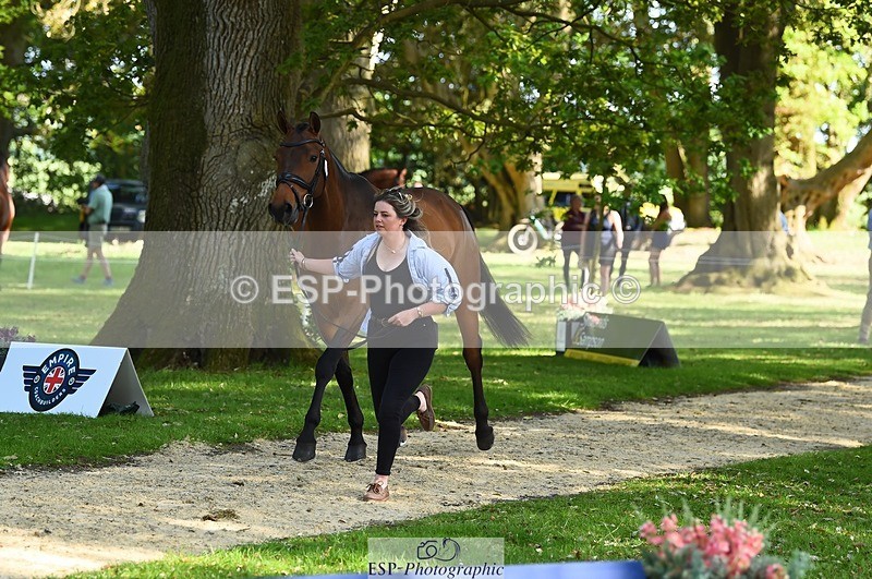 230524-164746-01088 - 115-RNH_ULTIMATE-Harriet_Wright-WEDTrotUp+DR