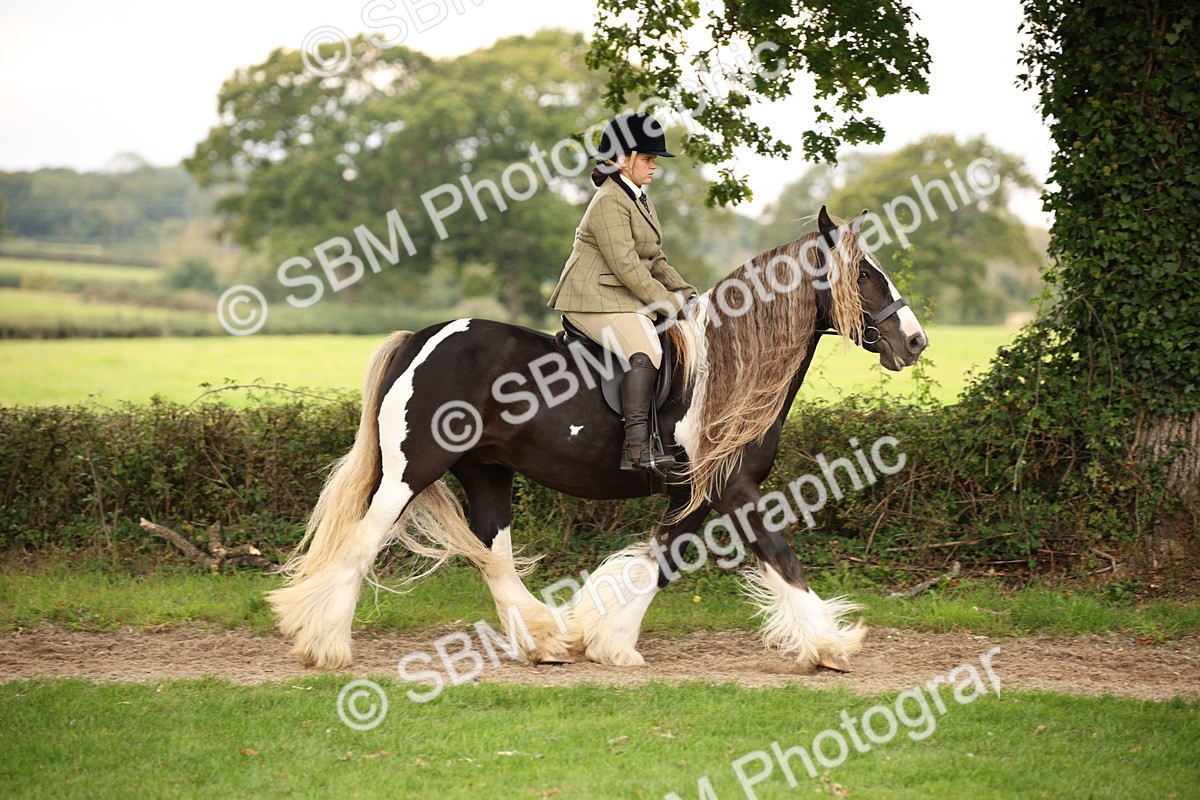 SBM_73425 - S68 - Traditional Cob Ridden